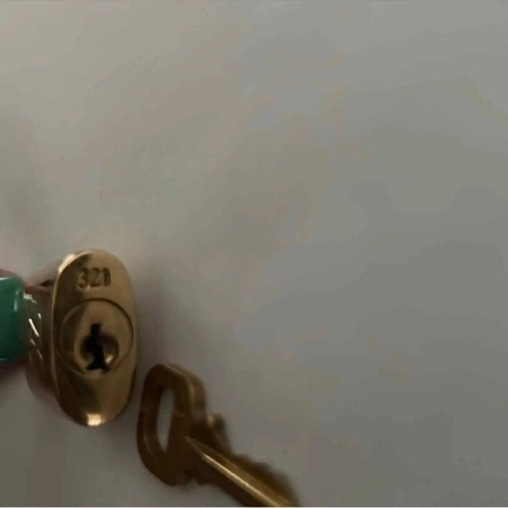 Louis Vuitton Gold Lock And Keyl# 321) - Picture 7 of 8